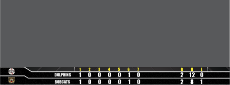 Softball bottom bar