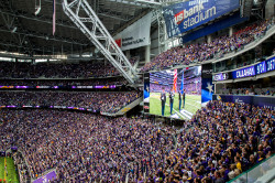 MinnesotaVikings_EastEndzone_04