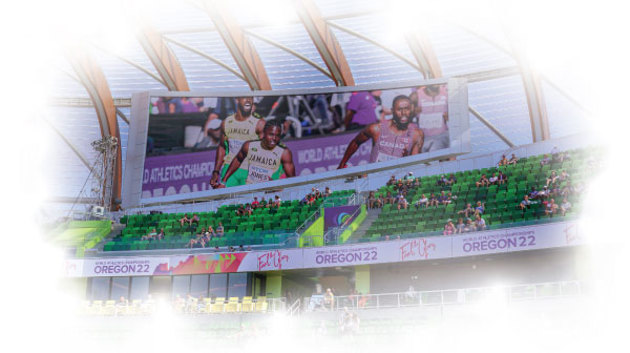 Hayward Field Design Build Services