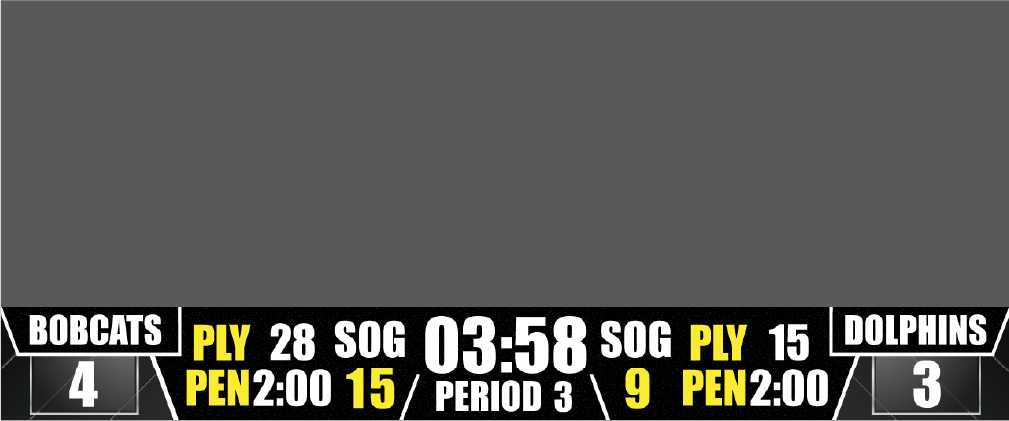 hockey bottom bar