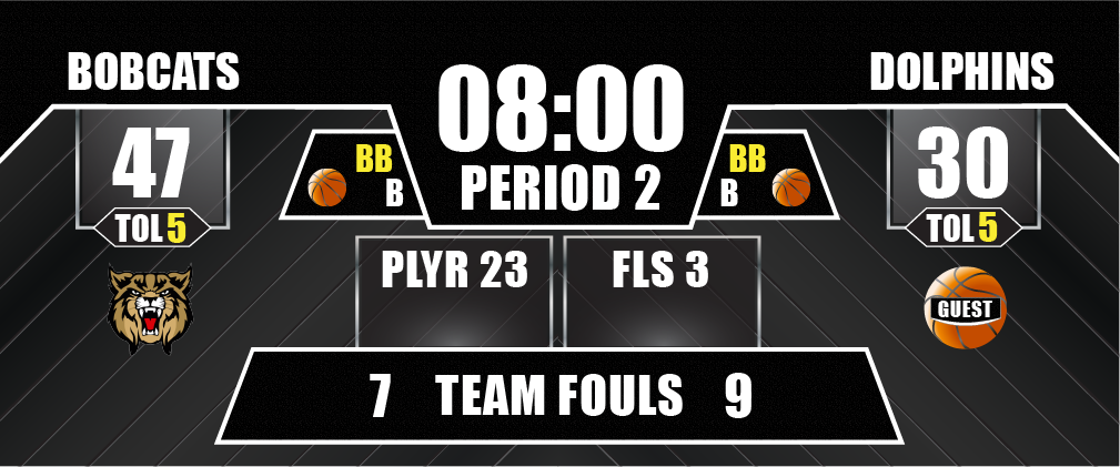 basketball full screen