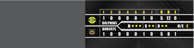 softball side bar