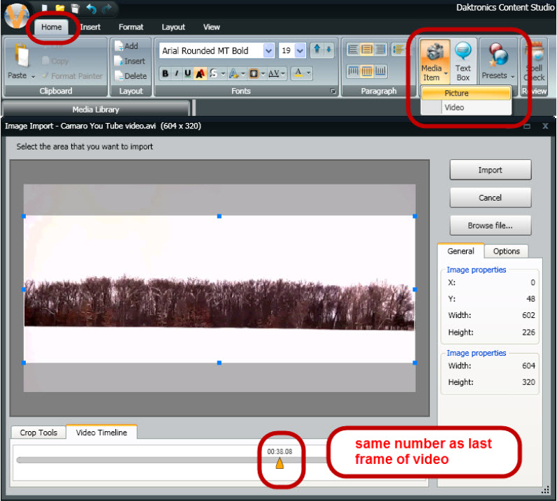 Video Import frame