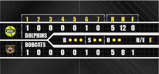 baseball full score
