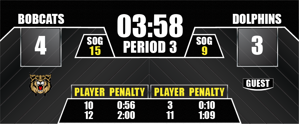 hockey full screen