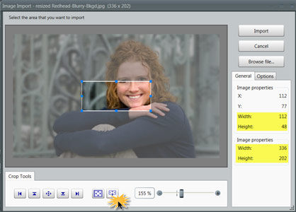 The Image Import window shows the selected area (top) and original photo dimensions (bottom).