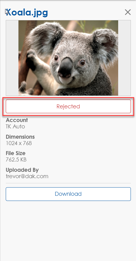 rejected koala