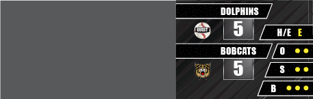 Baseball Score Side Bar