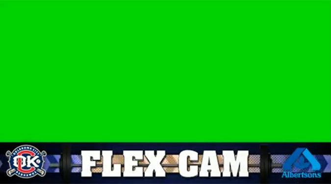 Flex Cam Animation