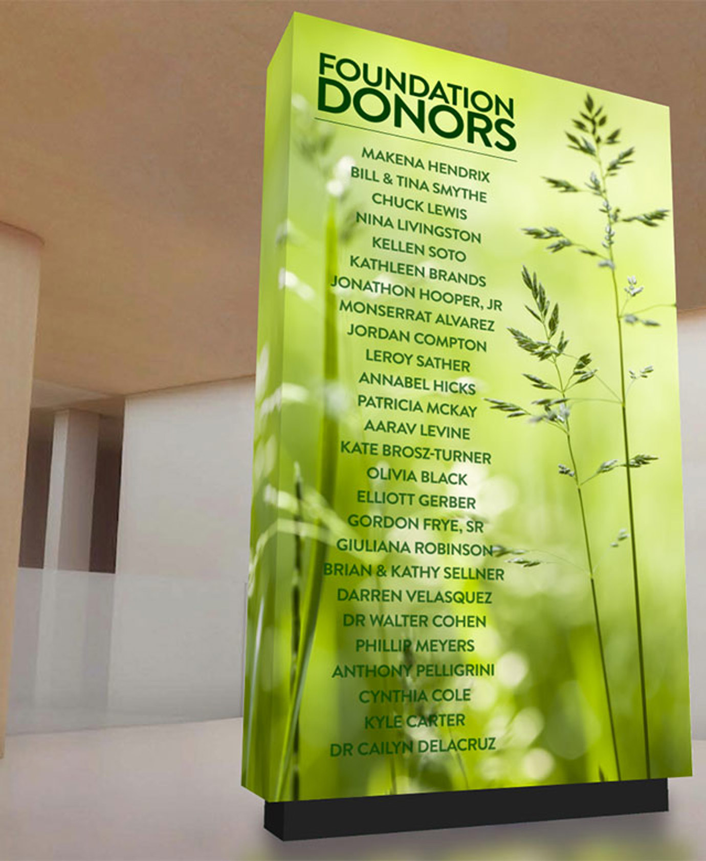 LED video donor display