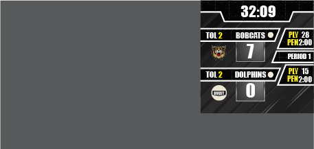 Lacrosse side bar