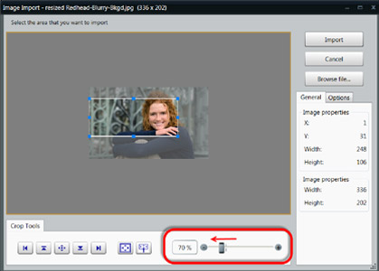Resizing the photo and moving the display window