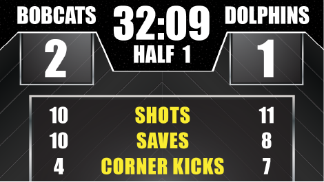 Soccer full screen