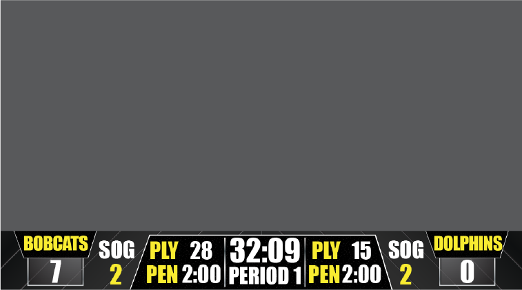 Hockey bottom bar