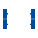 Large Live Video Display