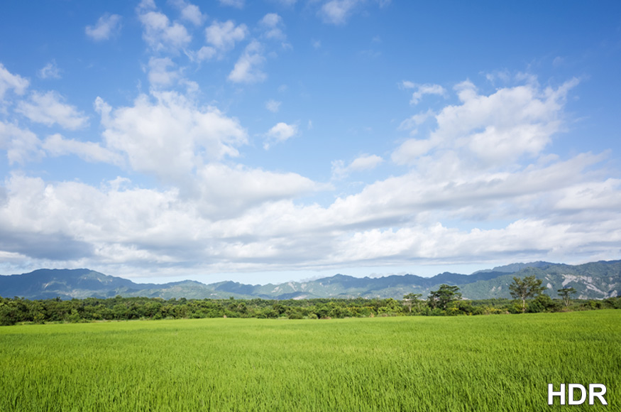 HDR Learning and Resources