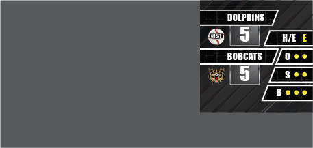 Baseball Score Side Bar-100.jpg
