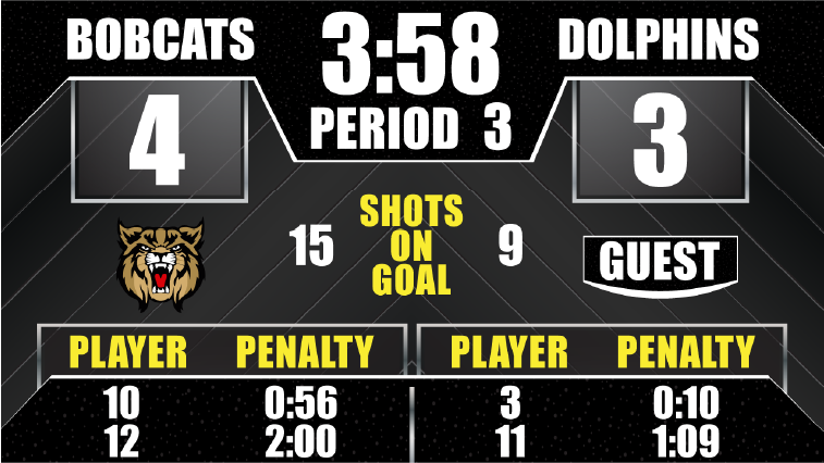 Hockey full screen