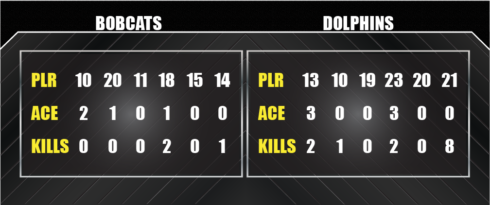 volleyball full stats