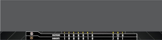softball bottom bar
