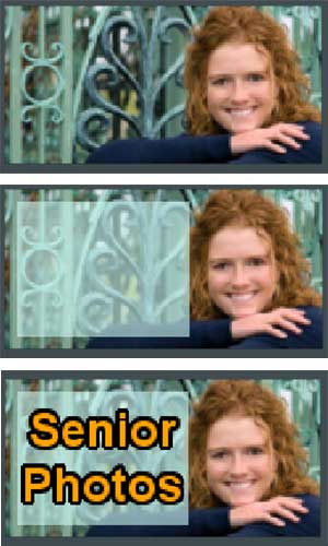 Using the opacity text box