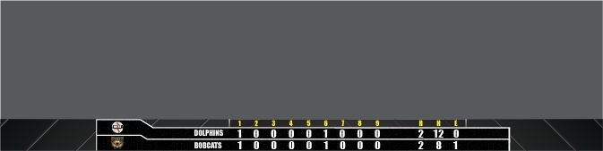 baseball bottom bar