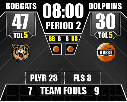 Basketball Full Screen