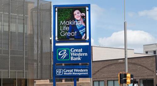 Graphics and Animation capable Display