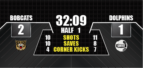 Soccer full screen
